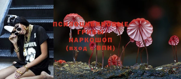 а пвп мука Алексин